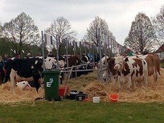 Memoriál Františka Švadleny_1