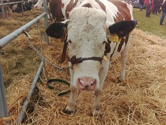 Memoriál Františka Švadleny_10