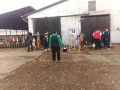 Memoriál Františka Švadleny_11