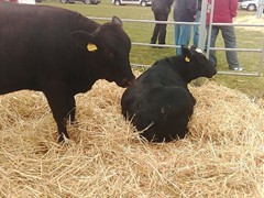 Memoriál Františka Švadleny_12