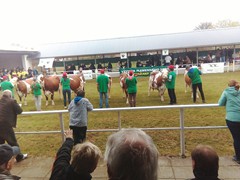 Memoriál Františka Švadleny_15