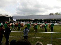 Memoriál Františka Švadleny_2