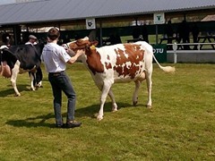 Memoriál Františka Švadleny_3