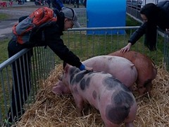 Memoriál Františka Švadleny_4