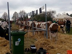 Memoriál Františka Švadleny_6