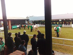 Memoriál Františka Švadleny_8