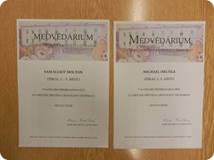 VÝTVARNÁ SOUTĚŽ ,,Brum, brum, brum, jak se daří medvědům,, _17