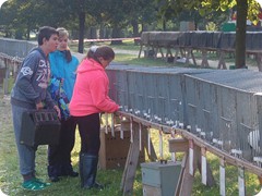 Chovatelská výstava 2016_1