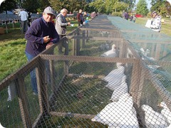 Chovatelská výstava 2016_2