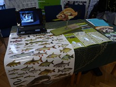 Od vzdělání k zaměstnání 2016_24