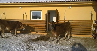 Nové přírůstky na farmě_2