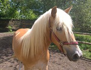 1. Noví nájemníci_3