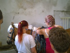 Osedlání nových nájemníků_6