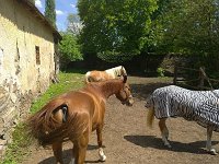 1. Noví nájemníci 2