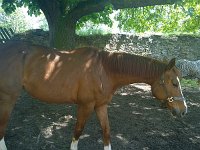 1. Noví nájemníci 4