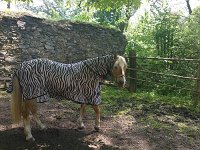 1. Noví nájemníci 5