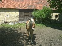 1. Noví nájemníci 6