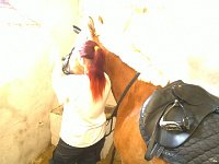 Osedlání nových nájemníků 4