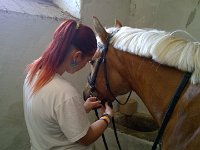 Osedlání nových nájemníků 5