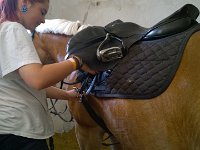 Osedlání nových nájemníků 7