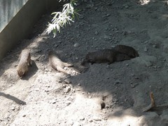 170621_b_32