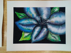 Květy (suchýpastel)_4