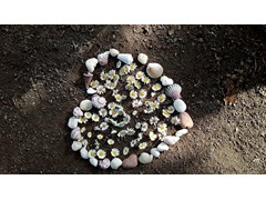 LAND ART_8